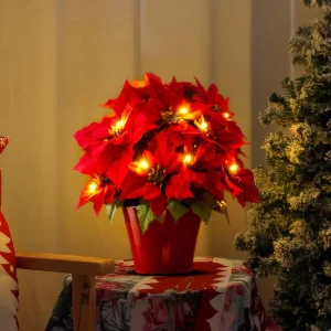[Christmas Special Deals]Radiant Ruby Poinsettia